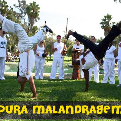 Pura Malandragem Pura Malandragem