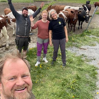 Eiker Ysteri - Anne Marie Sando