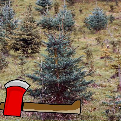 Weihnachten der Pechvögel - Geschichte von Hans Fallada