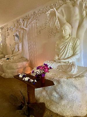 Folge 60: Meditation der liebenden Güte original aus Sri Lanka für Dich. Zum Valentinstag 2024