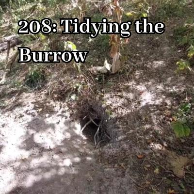 208: Tidying the burrow