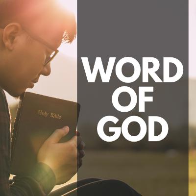The Word Of God - Is The Bible Really The Word Of God? The Word Of God - Is The Bible Really The Word Of God?