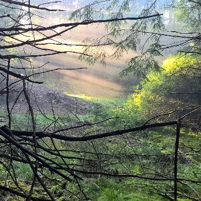 Innere Stille finden - Teil 8