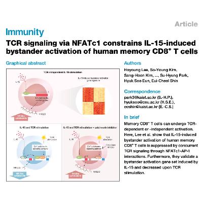 338-TCR 信号经 NFATc1 抑制 IL-15 旁观者激活