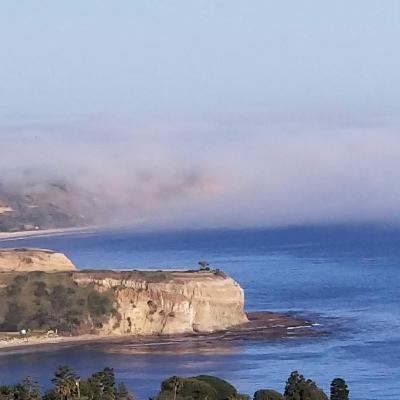 Along the Path TREES PLEASE