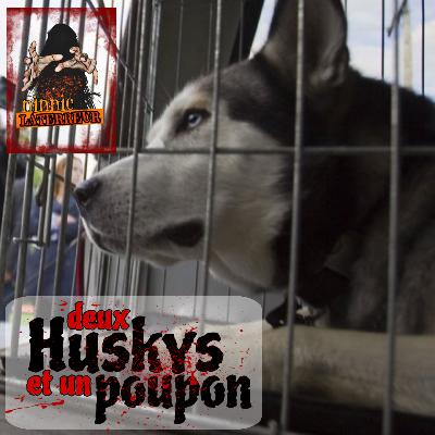 2 Huskys et 1 Bébé