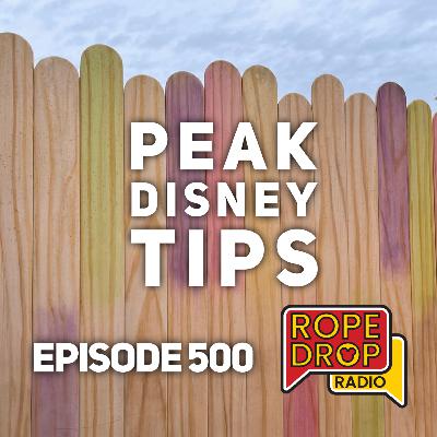 RDR 500: Peak Disney Survival Guide: Our Top Tips with Travel Pro Alex Cenac