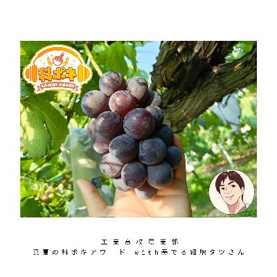 【特別編】真夏の科ポキアワード受賞者発表SP！with奏でる細胞＠タツさん