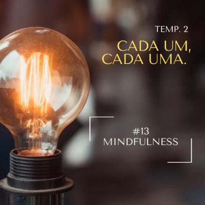 #13 - Mindfulness, será que é pra você?