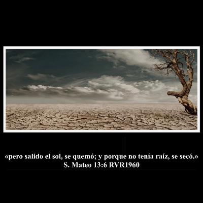 Secos Secos
