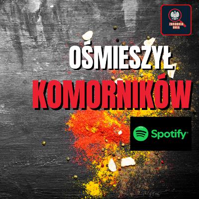 Zhakował portal komorników. Państwo przez 3 lata było ślepe.