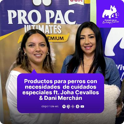Así nació Happy Paw ft Dani Merchán & Joha Cevallos