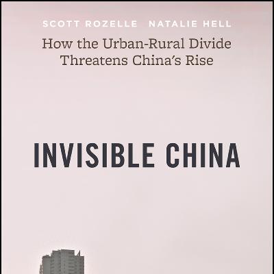 A Book Review - Invisible China: How the Urban-Rural Divide Threatens China’s Rise by Scott Rozelle, Natalie Hell A Book Review - Invisible China: How the Urban-Rural Divide Threatens China’s Rise by Scott Rozelle, Natalie Hell