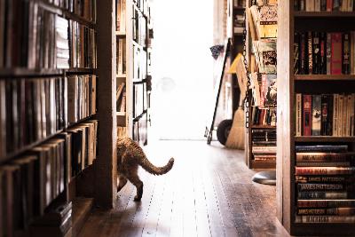 The best bookshops are run by weird old men