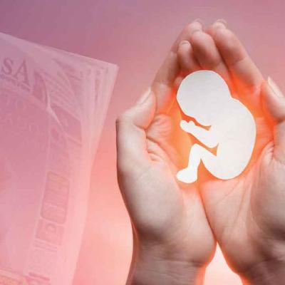 El aborto desde la visión espiritista. El aborto desde la visión espiritista.