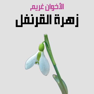 من قصص الأخوان غريم | 32. زهرة القرنفل من قصص الأخوان غريم | 32. زهرة القرنفل