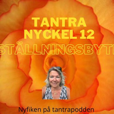 66. Tantranyckel 12 - ställningsbyte