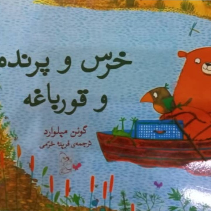 خرس و پرنده و قورباغه