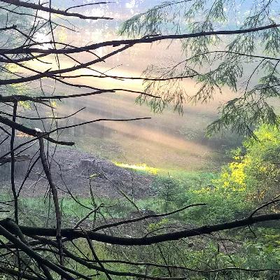 Calling on the Light within - Part 3