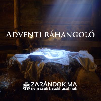 Adventi ráhangoló: Egy nyáj és egy pásztor
