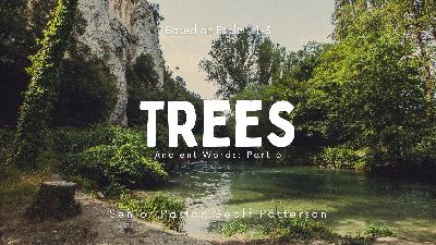 Trees - Ancient Words: Part 6 | Trees - Ancient Words: Part 6