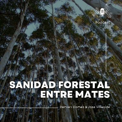 Sanidad Forestal y Control Biológico: Innovación y Desafíos desde América Latina - Sofía Simeto Sanidad Forestal y Control Biológico: Innovación y Desafíos desde América Latina - Sofía Simeto