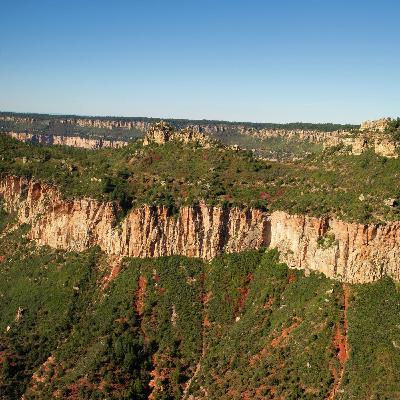 El nuevo nacimiento: La parte de Dios