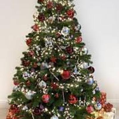 Oh Christmas Tree - Fun Facts!