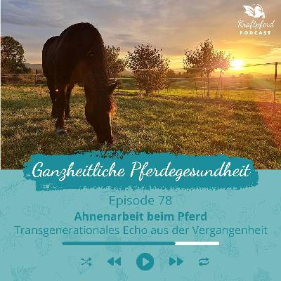 78 - Ahnenarbeit bei Pferden - Transgenerationales Echo aus der Vergangenheit 78 - Ahnenarbeit bei Pferden - Transgenerationales Echo aus der Vergangenheit