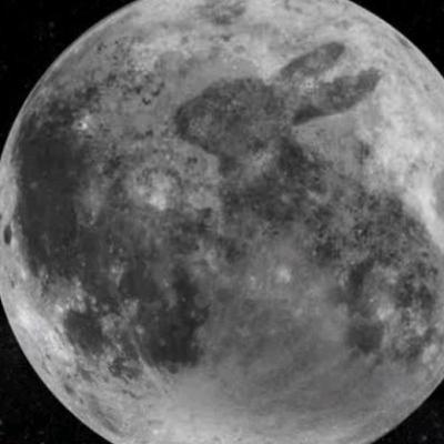 El conejo y la luna