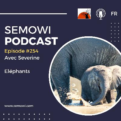 Les éléphants