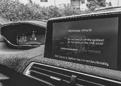 Exploring the dynamics of automotive software development