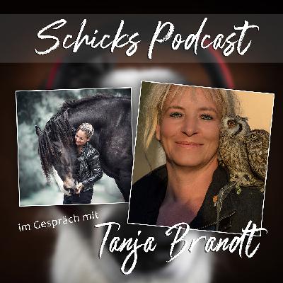 #098 GASTDialog mit Tanja Brandt: Nebengewerbe und Selbständigkeit