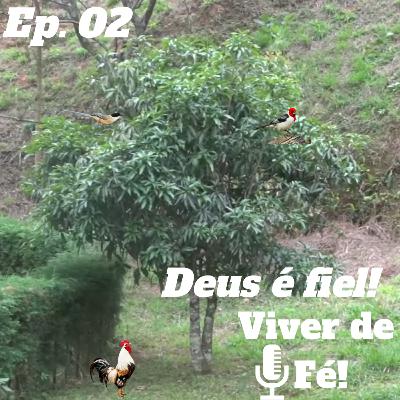 Deus é fiel. Ele nos confirmará e protegerá!