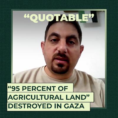 “95 percent of agricultural land” destroyed in Gaza