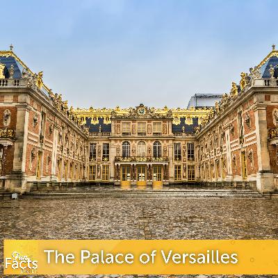 Fun Facts About the Palace of Versailles Fun Facts About the Palace of Versailles