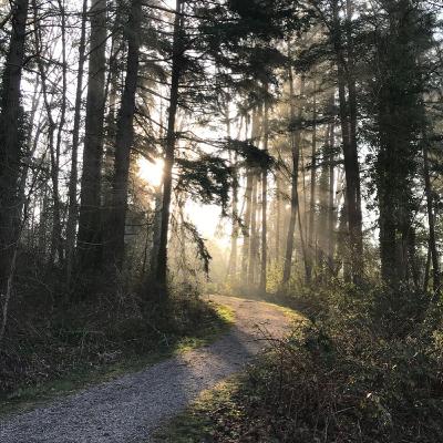 The YOGA Workshop-So/Hum meditation technique The YOGA Workshop-So/Hum meditation technique