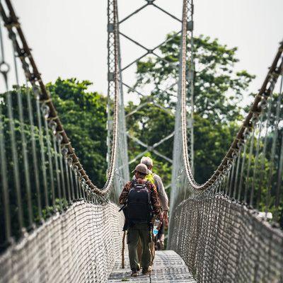 Cara's experience with Equestrian Bridges