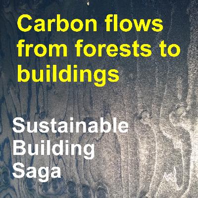 Carbon flows from forests to buildings with Mark Hughes Carbon flows from forests to buildings with Mark Hughes