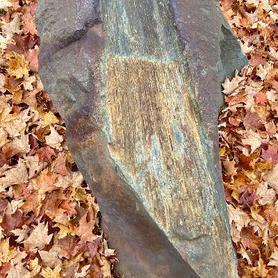 Before the Catskills: Gilboa’s Fossil Forest
