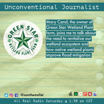 Why is Revitalizing Our Wetlands so Important?