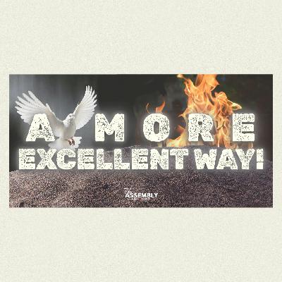 A More Excellent Way! - Pastor Lee Brown