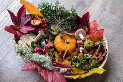 Create a natural holiday centerpiece using elements from your garden and yard