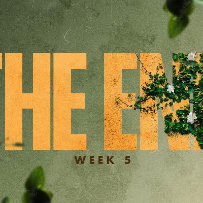 The End | Week 5