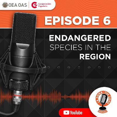 Episode 6 | Endangered Species in the Region Belize and Guatemala