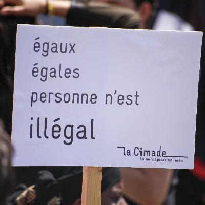 19. Immigration