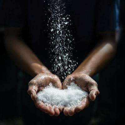 Episode 428 - Being Worth Your Salt