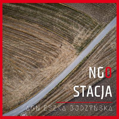 106: Buduj mocną NGO: odkryj, jak działa rozwój instytucjonalny