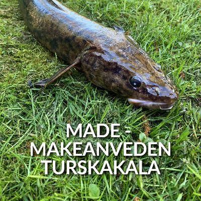 Made - makeanveden turskakala Made - makeanveden turskakala