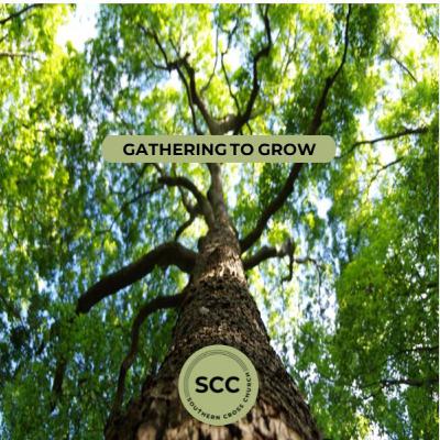 The Church: WHAT? (Acts 2 : 42 - 47)